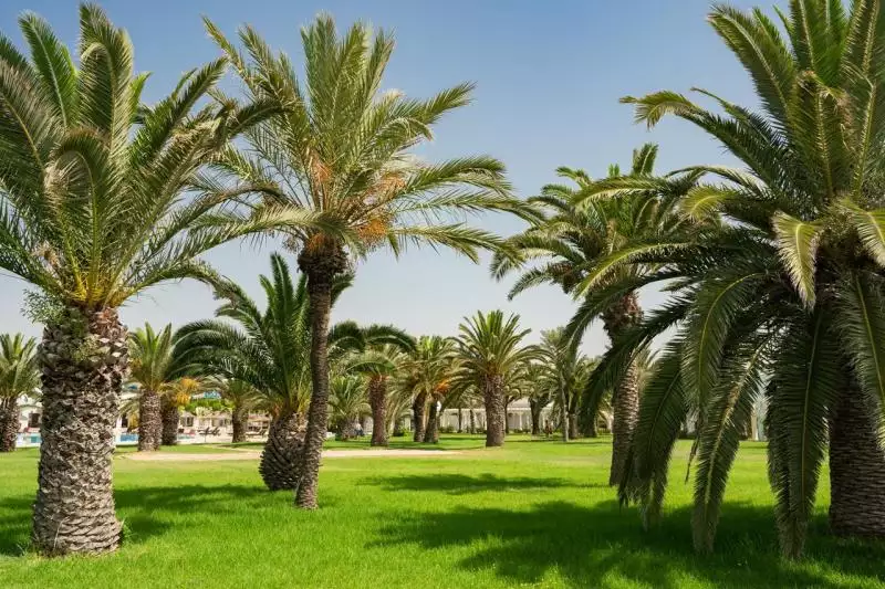 The Mirage Resort & Spa Hammamet