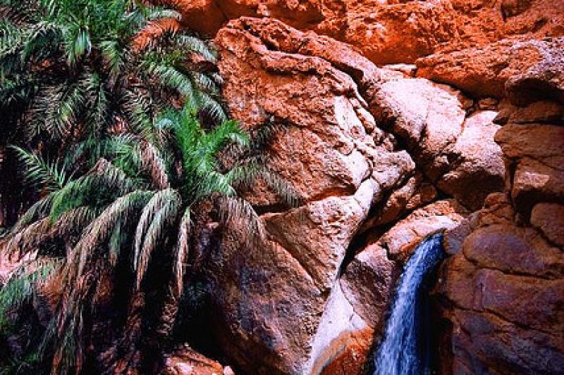 Fedezd Fel Tunézia Varázslatos Világát