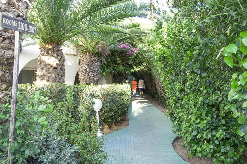 Hammamet utazás Le Hammamet