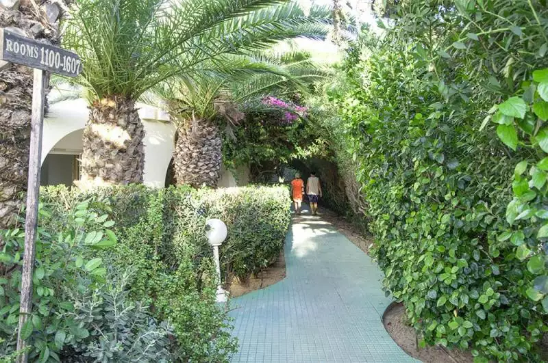 Le Hammamet Hammamet