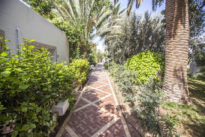 Hammamet utazás Le Hammamet