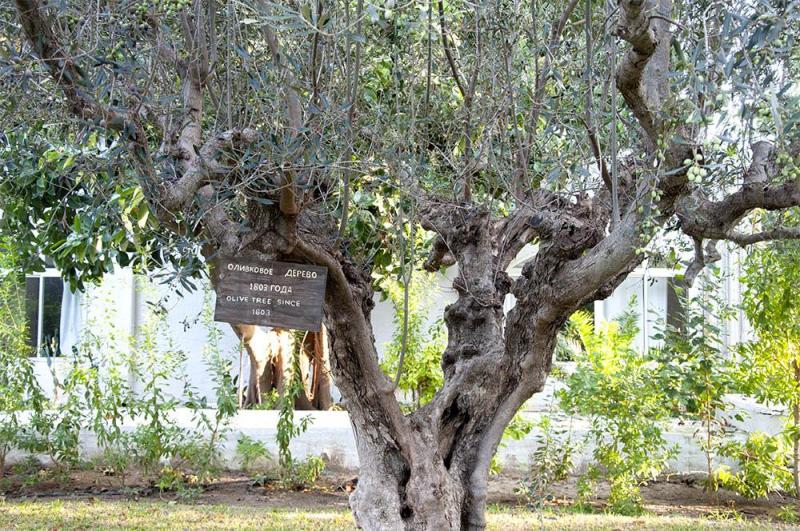 Hammamet utazás Le Hammamet