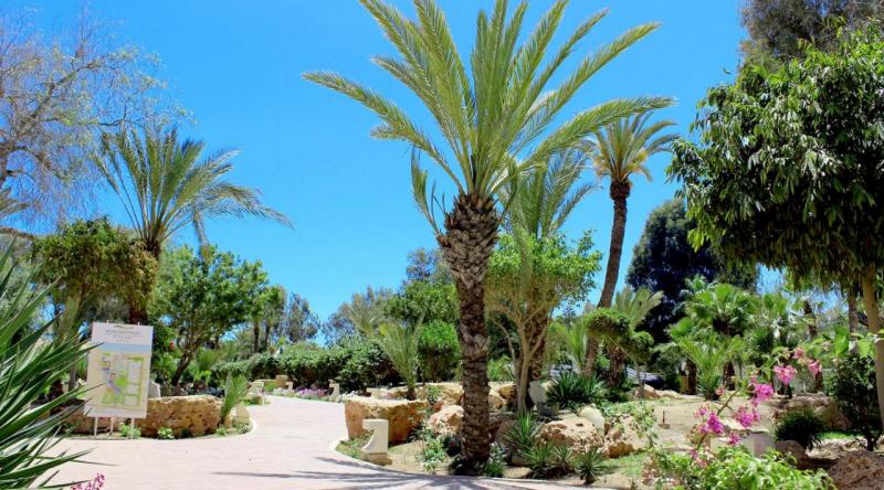 Djerba utazás Royal Karthago