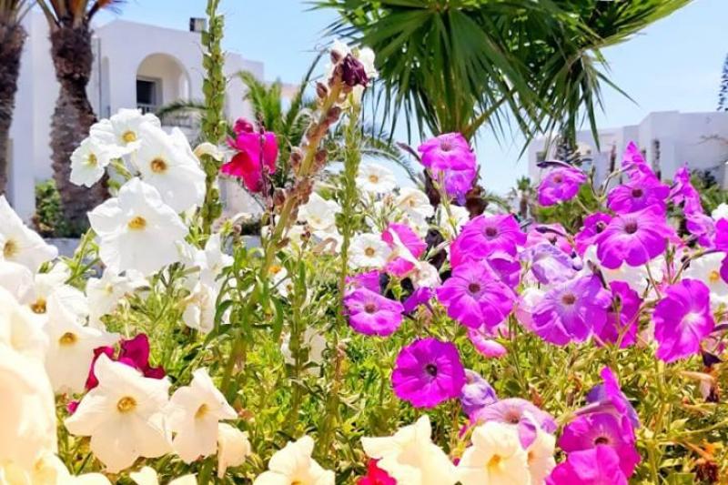 Djerba utazás Vincci Helios Beach & Spa