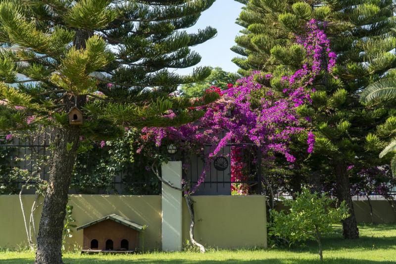 Side utazás Adalya Artside Hotel