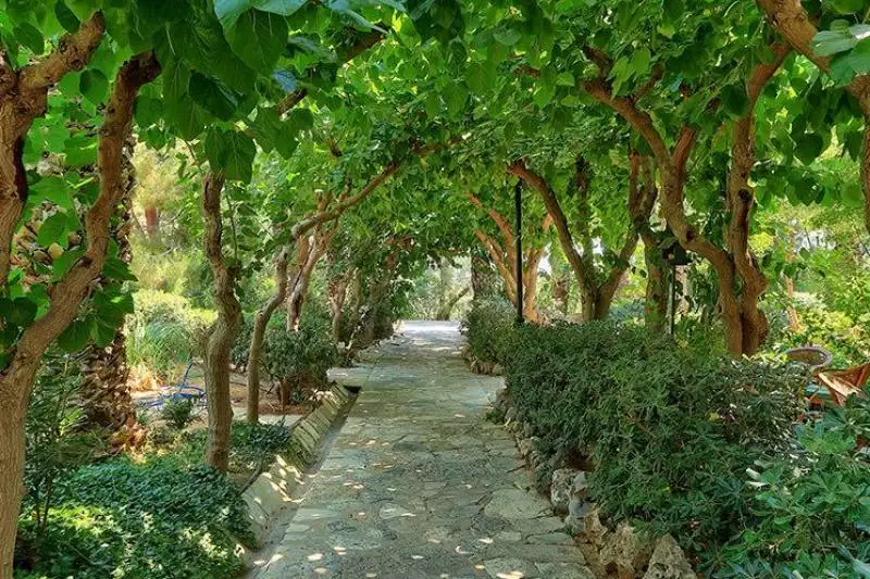Apollonia Beach Resort & Spa Kréta