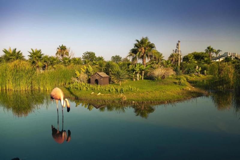 Side utazás Club Hotel Turan Prince World