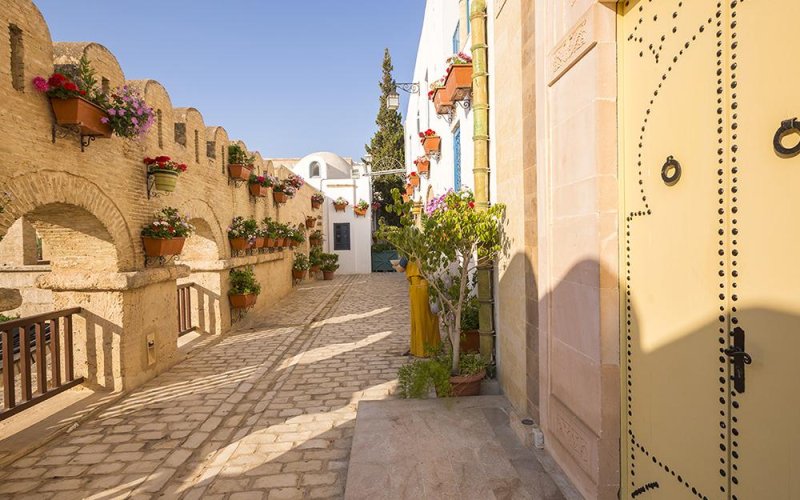 Hammamet utazás Diar Lemdina Hotel