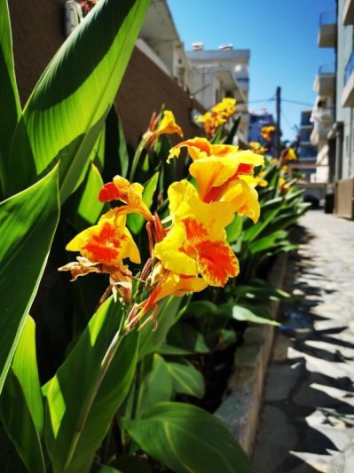 Rodosz Rhodes utazás Europa Hotel