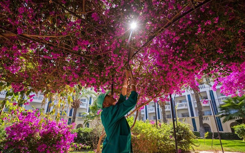 Hammamet utazás Medina Belisaire & Thalasso Hotel