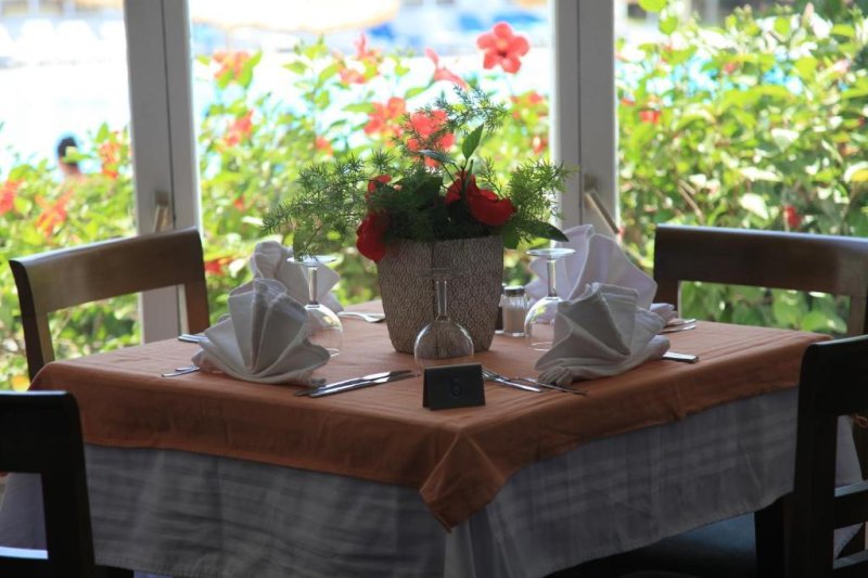 Hammamet utazás Menara