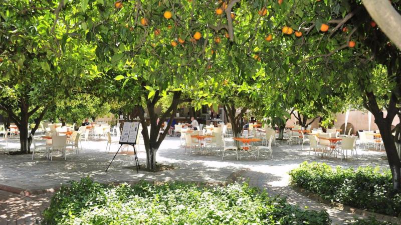 Alanya utazás Noxinn Club Hotel