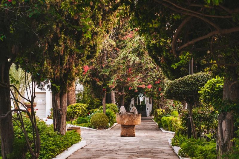 Hammamet utazás The Orangers Beach Resort & Bungalows