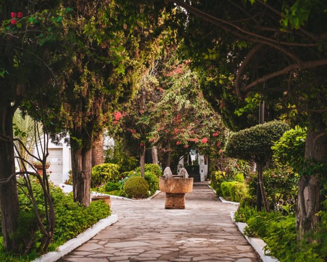 Hammamet utazás The Orangers Beach Resort & Bungalows