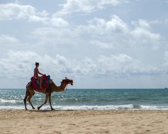 Hammamet utazás The Orangers Garden Villas & Bungalows