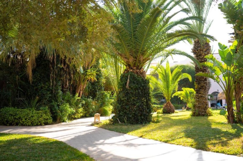 Hammamet utazás Eden Yasmine Resort & Spa