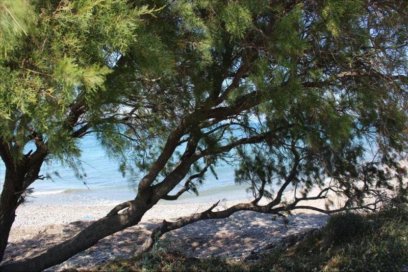 Asterias Bay Hotel Rodosz