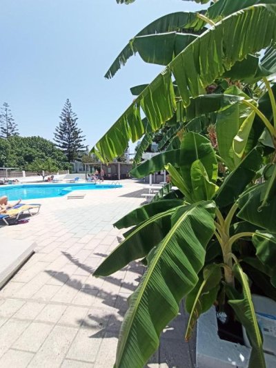 Summer Dream Hotel Rodosz