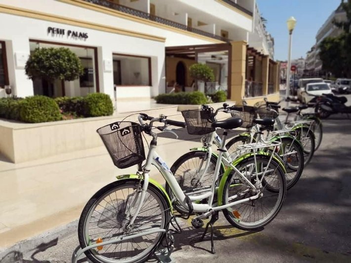 Rodosz utazás Canvas By Mitsis Petit Palais