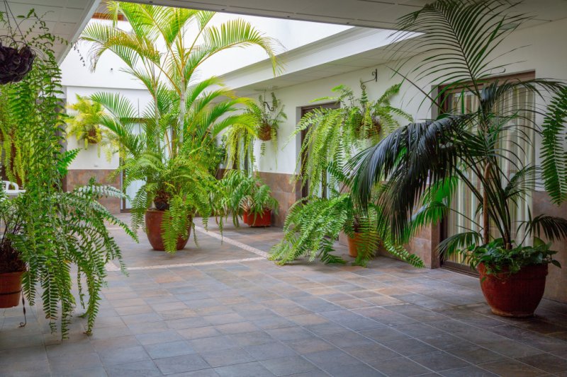 Tenerife utazás Af Marquesa