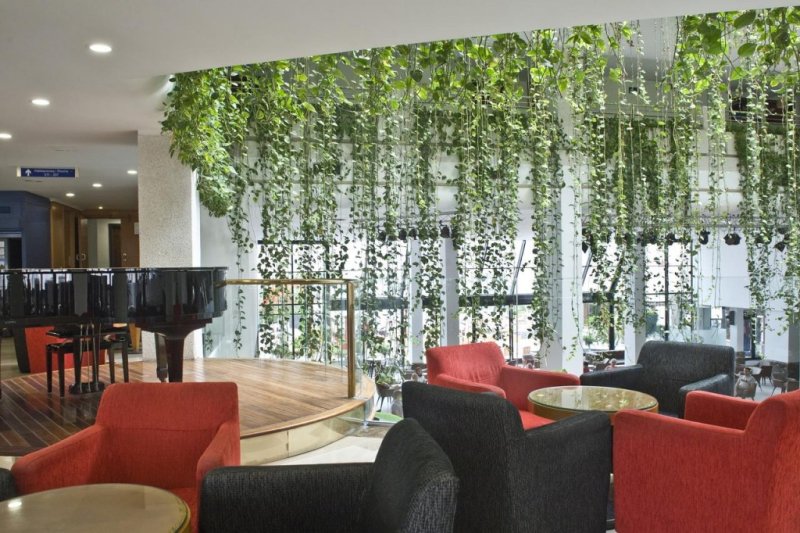 Alexandre Hotel Gala Tenerife Playa de las Americas
