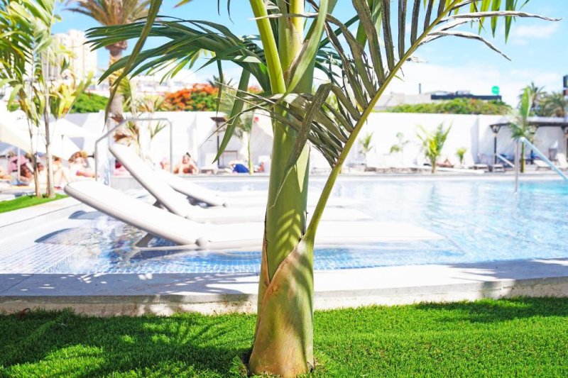 Tenerife Costa Adeje utazás Alexandre Hotel Troya