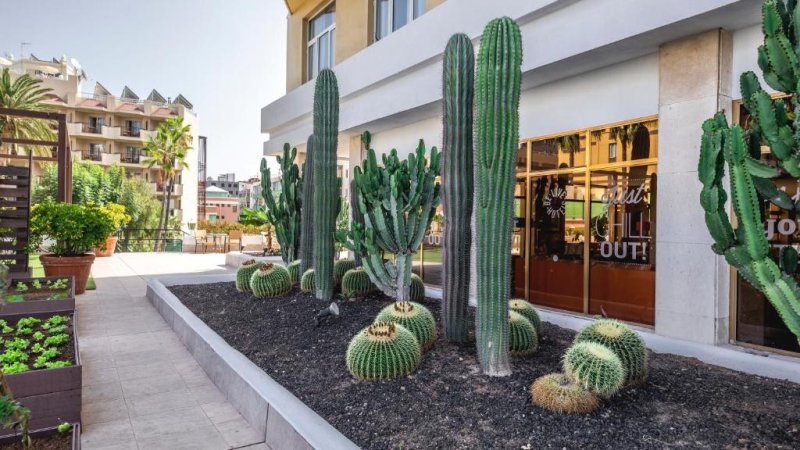 Tenerife utazás Be Live Adults Only