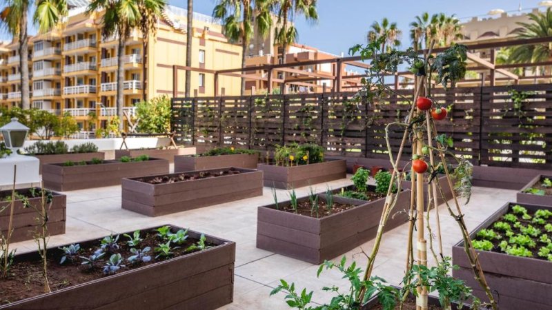 Tenerife utazás Be Live Adults Only