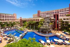 Best Jacaranda Tenerife Costa Adeje