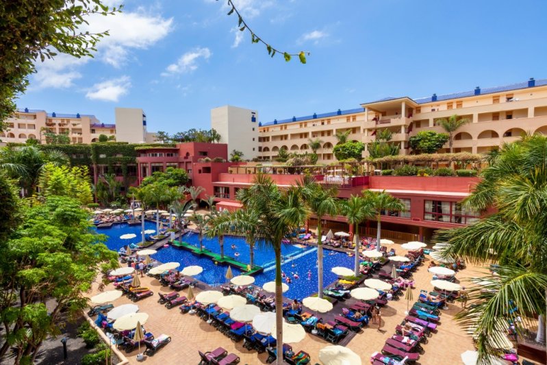 Best Jacaranda Tenerife Costa Adeje