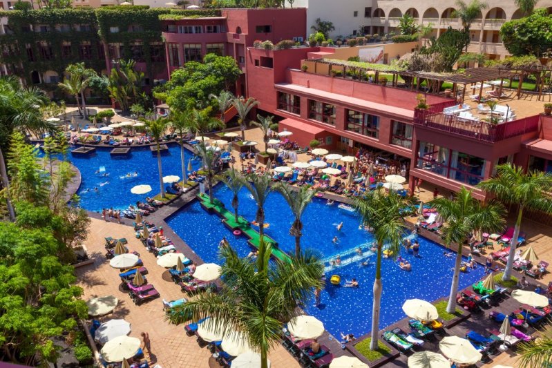 Best Jacaranda Tenerife Costa Adeje