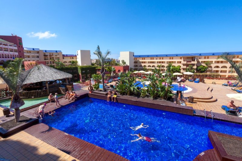 Best Jacaranda Tenerife Costa Adeje