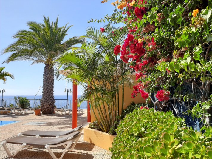 Madeira utazás Cais Da Oliveira