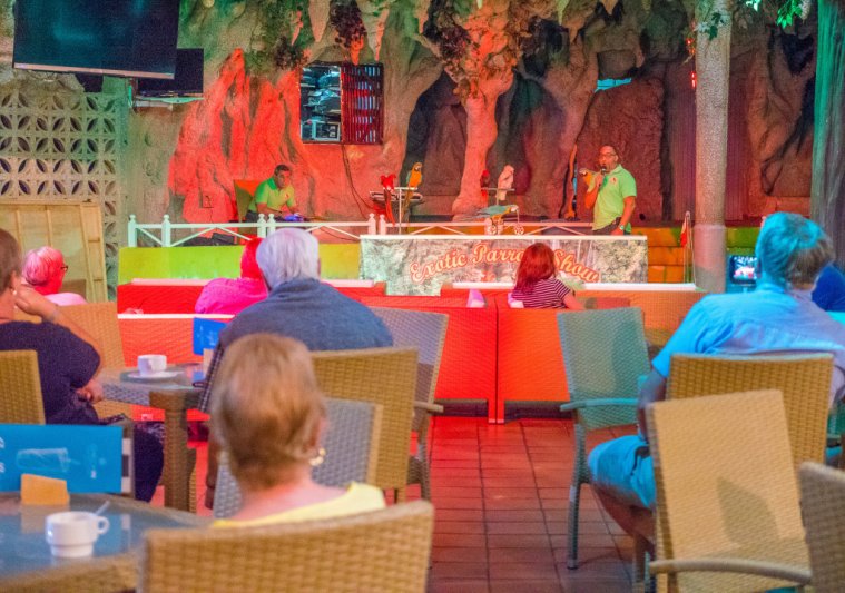 Tenerife Los Cristianos utazás Checkin Bungalows Atlantida