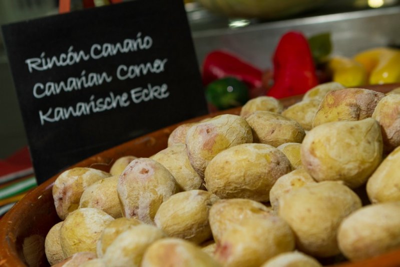 Tenerife Puerto de la Cruz utazás Checkin Concordia Playa