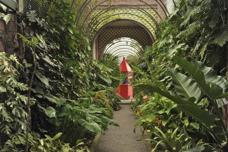 Tenerife Puerto de la Cruz utazás Coral Teide Mar