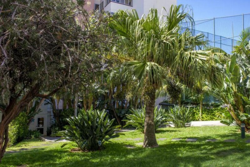 Madeira utazás Dorisol Buganvilia Studio Hotel