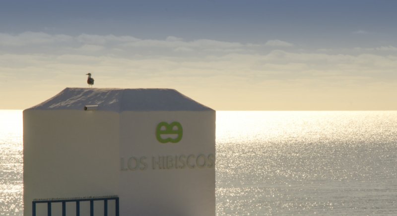 Lanzarote utazás Ereza Los Hibiscos - Only Adults