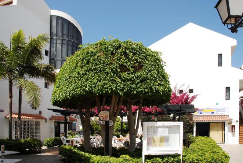 Tenerife Los Cristianos utazás HG Cristian Sur