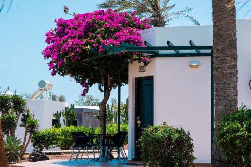 Hl Club Playa Blanca Lanzarote