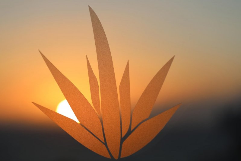 Tenerife Costa Adeje utazás Iberostar Selection Sabila