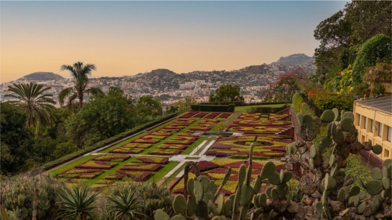 Madeira Körutazás