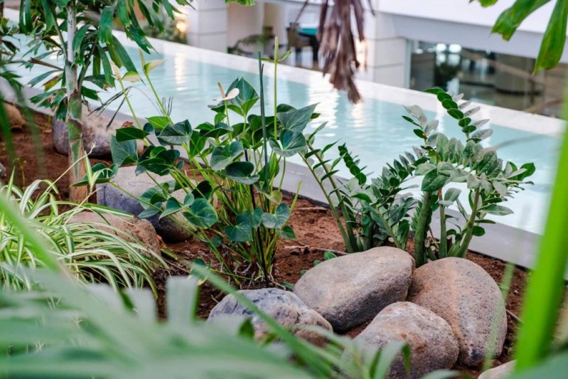 Spring Hotel Vulcano Tenerife Playa de Las Americas