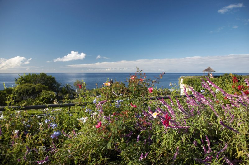 Suite Hotel Eden Mar Madeira
