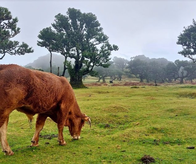 Tenerife utazás Tenerife Körutazás