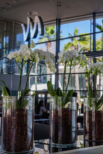 Madeira utazás Vidamar Resort Madeira