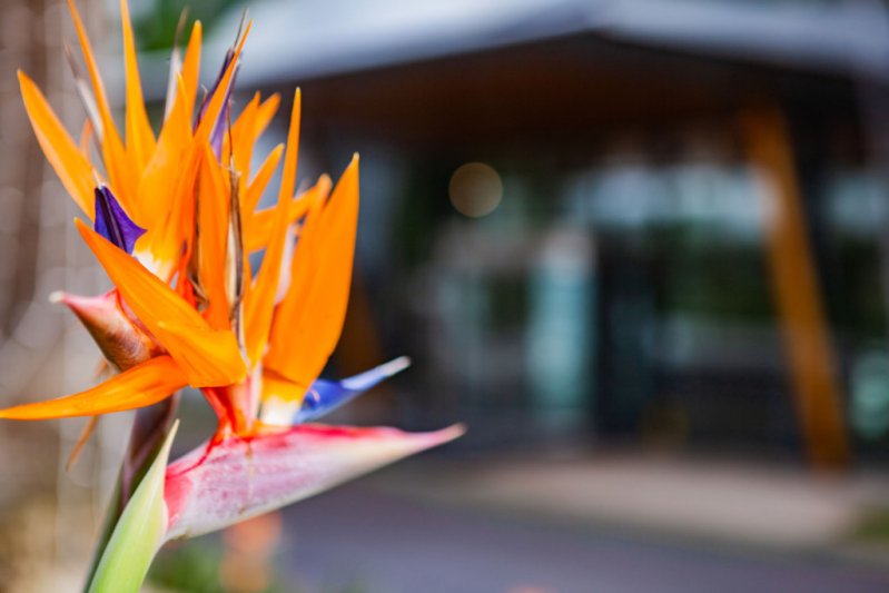 Madeira utazás Vidamar Resort Madeira