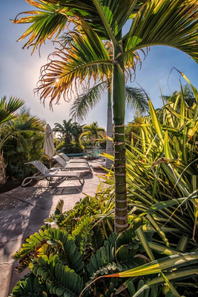 Lopesan Baobab Resort Gran Canaria Meloneras