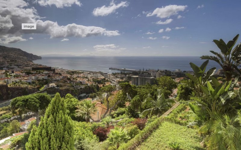 Madeira utazás Quinta Funchal Palace Gardens - Adults Only