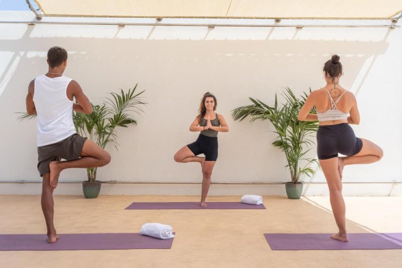 Menorca utazás Sol Milanos Pinguinos